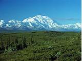 Pictures of How To Visit Denali National Park