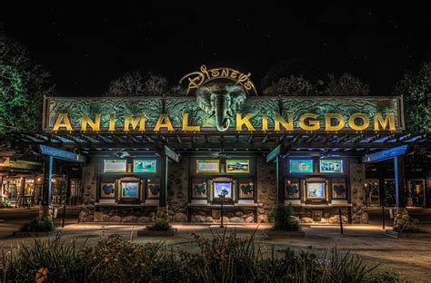 Animal Kingdom | Walt Disney World Resort | An extremely exc… | Flickr