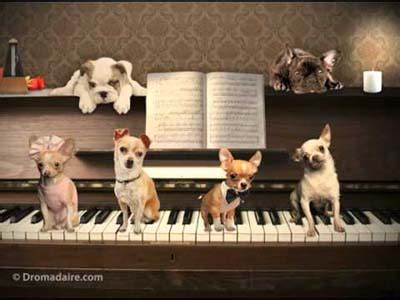 Maybe you would like to learn more about one of these? cartes d anniversaire musicales gratuites