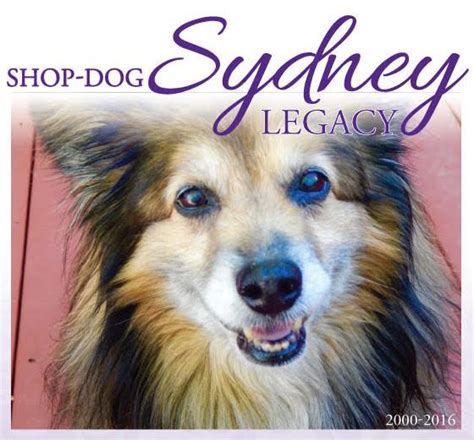 All sympathy flowers same day sympathy flowers funeral flowers sympathy plants sympathy gift baskets funeral sprays & wreaths. Sydney Tribute Honors Pets