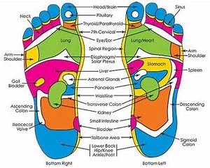 I Believe Foot Reflexology Reflexology Chart Foot Reflexology 