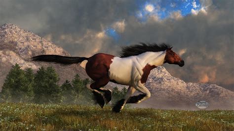 Pinto Mustang Galloping Digital Art By Daniel Eskridge Pixels