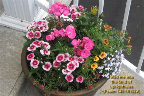 100 flower quotes that will make you bloom. Christian Quotes About Flowers. QuotesGram