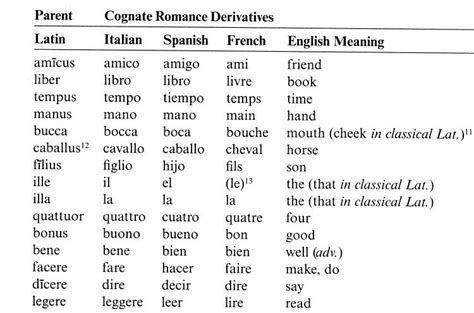 List Of Latin Words With English Derivatives