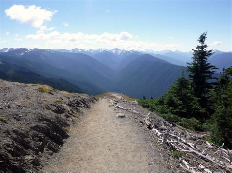 Olympic National Park Part 2 Mountains Forest And