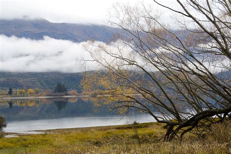 Tranquility Solitude, Tranquility, Serenity, Peace, River, Nature