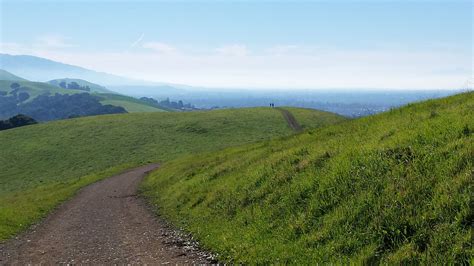 Dry creek regional park is located in the hills above hayward, a hidden gem that is worth visiting. Rolling Green Hills at Dry Creek Regional Park ...