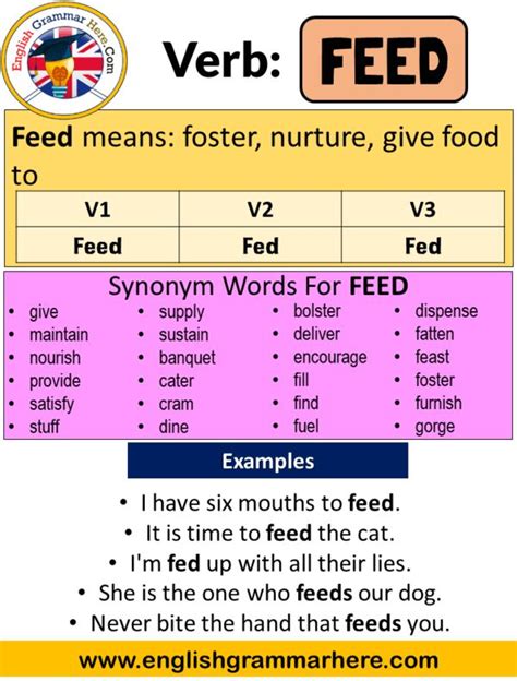 Feed Past Simple Simple Past Tense Of Feed Past Participle V1 V2 V3