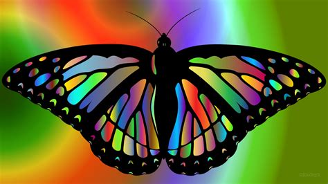 Beautiful Wallpaper Colorful Butterflies 2560x1440 Download Hd