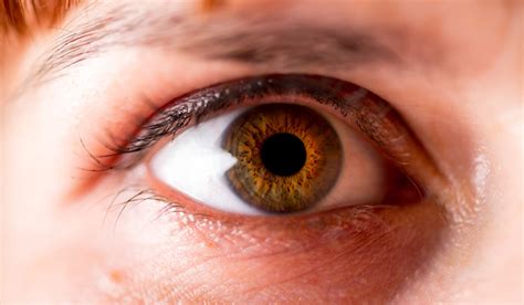 Blind People May See With Optic Nerve Stimulation The Week