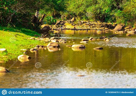 Rural Landscape Of A Freshwater Stream In The Municipality Of Silveira