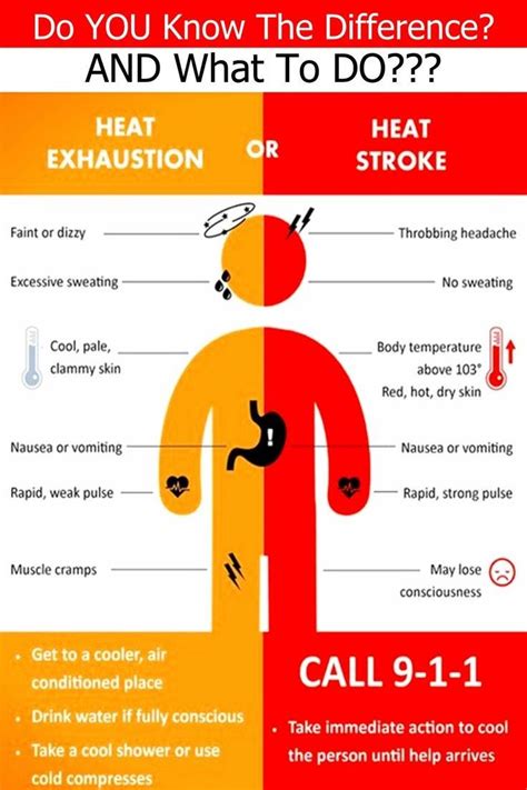 Heat Stroke Definition Causes And Prevention By Amisha Garasia