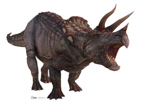 The Ferocious Power Of The Famous Triceratops How It Works Magazine