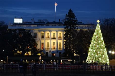 White House Christmas Tree Festive Facts Readers Digest