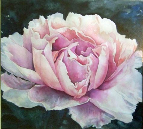 Beautiful Realistic Watercolor Of A Light Pink Peony Peony Drawing