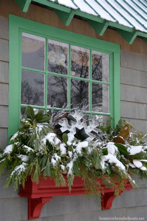 Winter Window Boxes On The Potting Shed