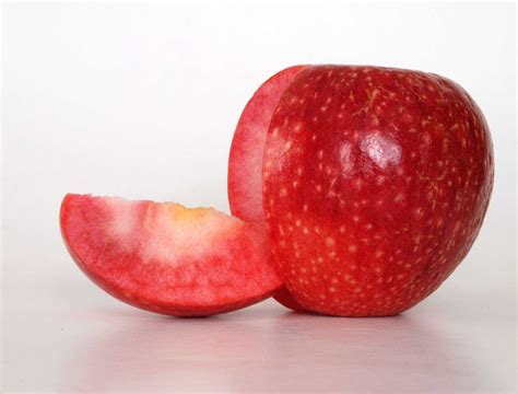 Red Fleshed Apple Commercialization Program Announced Growing Produce