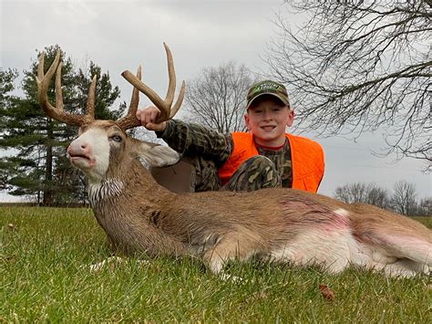 Spotted Whitetail Deer