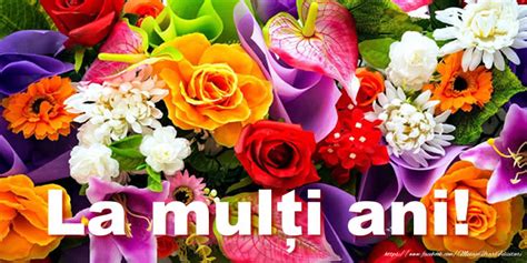 Eu iti doresc putin dar din suflet, noroc atunci cand ai nevoie de el, prieteni mai putini dar adevarati, putina. Felicitari cu flori - La multi ani ...