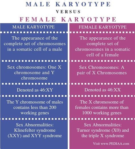 What Is The Difference Between Male And Female Karyotypes Pediaacom