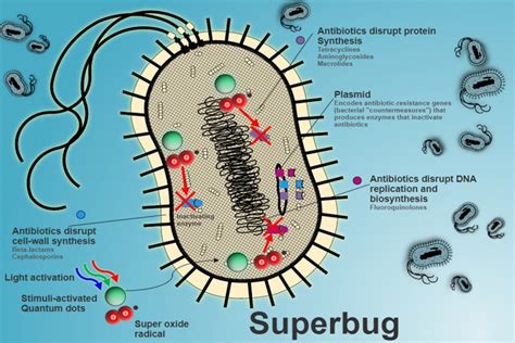 Blog Drug Resistant Superbug Spreading In Hospitals Study