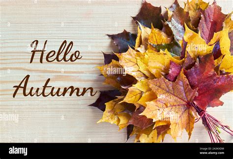 Hello Autumn Writing With Maple Leaf Autumn Bouquet On Wooden