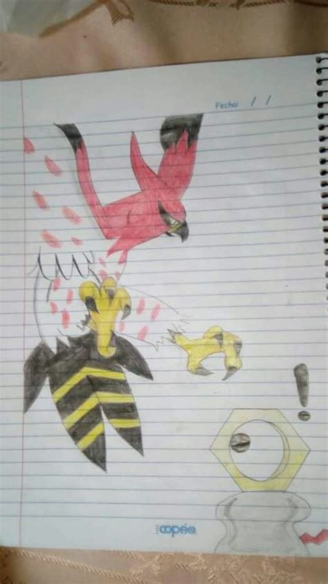 Que tal el dibujo de talonflame Pokémon En Español Amino