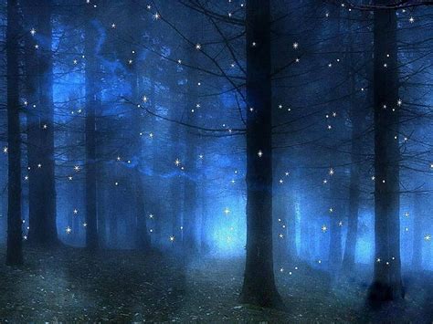 Forest In Blue Sparkling Stars Lovely Starlit Colors Love Four