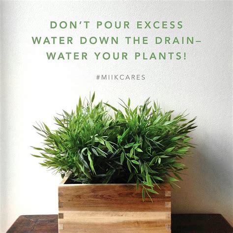 Miik Inc On Instagram Dont Pour Water Down The Drain You Can Help