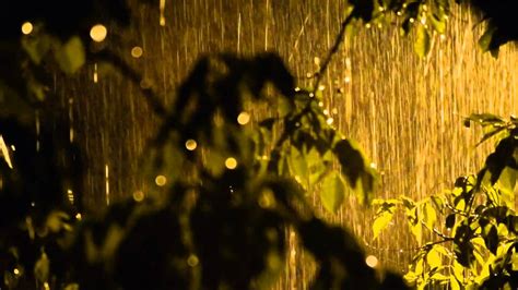 10 Beautiful Rain Nature Images Hd Basty Wallpaper