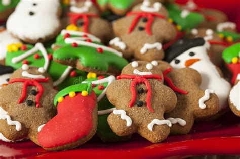 Whether it's snickerdoodles, butter cookies, sugar cookies and more, you can't go wrong with any of these. Traditional Iced Gingerbread Christmas Cookies Stock Image ...