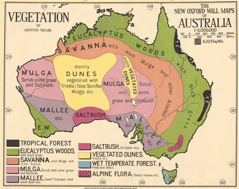 Vegetation wall map of Australia (1929) - Vivid Maps