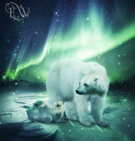 Polar Bears Winter Landscape Aurora Borealis Art Print Mother By
