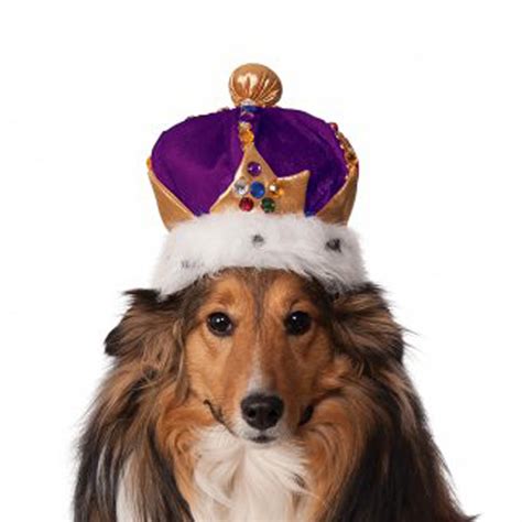 Rubies Kings Crown Dog Hat Purple Baxterboo