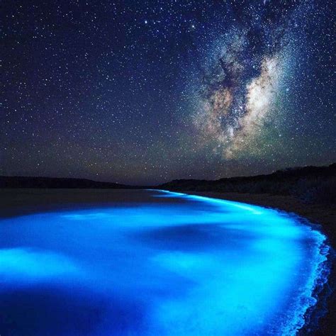 Bioluminescent Glowing Plankton On Koh Rong Island In Cambodia