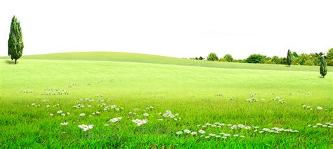 Download Graphic Stock Land Grassland For Free Download On Green