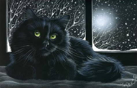 Black Cat Sitting In Snowy Window Pictures Photos And Images For