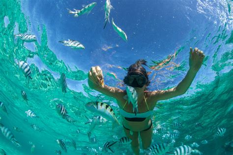 7 Best Nassau Snorkeling Locations In The Bahamas