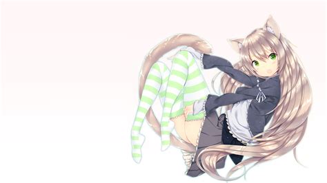 wallpaper anime girls cat girl nekomimi thigh highs original characters stockings