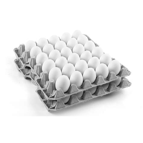 Healthy Daily White Eggs 30 Pcs Pack Of 5 Trays Total 150 Eggs