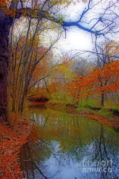 Autumn Along Pikes River Photograph By Kay Novy Fine Art America