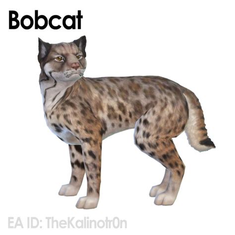Bobcat Sabertooth Lynx And Sloth At Kalino Sims 4 Updates