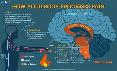 Many americans love watching the sport, but there is also a large group of individuals who enjoy the sport but don't understand how the scoring works. Beyond Opioids: The Future of Pain Management