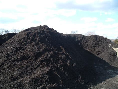 Black Dyed Mulch Rutgers Landscape And Nursery