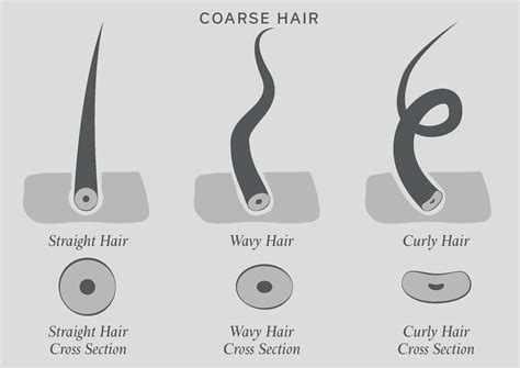 Unlike most of your facial hair, this hair seems especially gnarly—it's probably especially thick—and if you've managed to pluck it out, you'll find that it's actually multiple smaller hairs, all. Coarse Hair