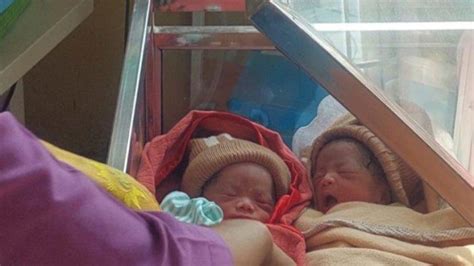 Penduduk Baru Lahir Di Tahun Kabisat 20 Bayi Lahir Selamat