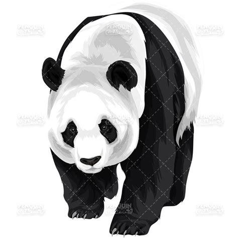 Cute Panda Version 5 Vector Clipart Illustration In 2020 Animal