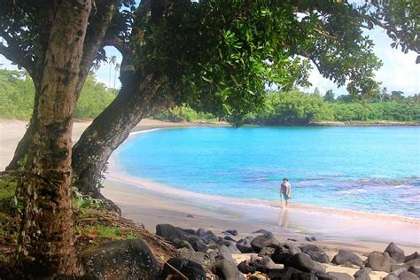 Salani Surf Resort Au105 2022 Prices And Reviews Samoaupolu