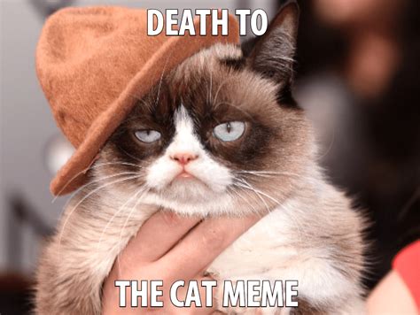 We have the best gallery of the latest funny pictures of animals with captions pics to add to your pc, mac, smartphone, iphone, ipad, 3d, or android if you want this pictures, please right click the image and select save image as. to save the funny pictures of animals with captions pics to. 38 Funny Pictures Of Cats With Captions | Cute animals ...