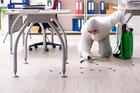 Allied services pest elimination is locally owned, family operated and covers san diego county homes and businesses. 5 Best Pest Control Companies in San Diego磊